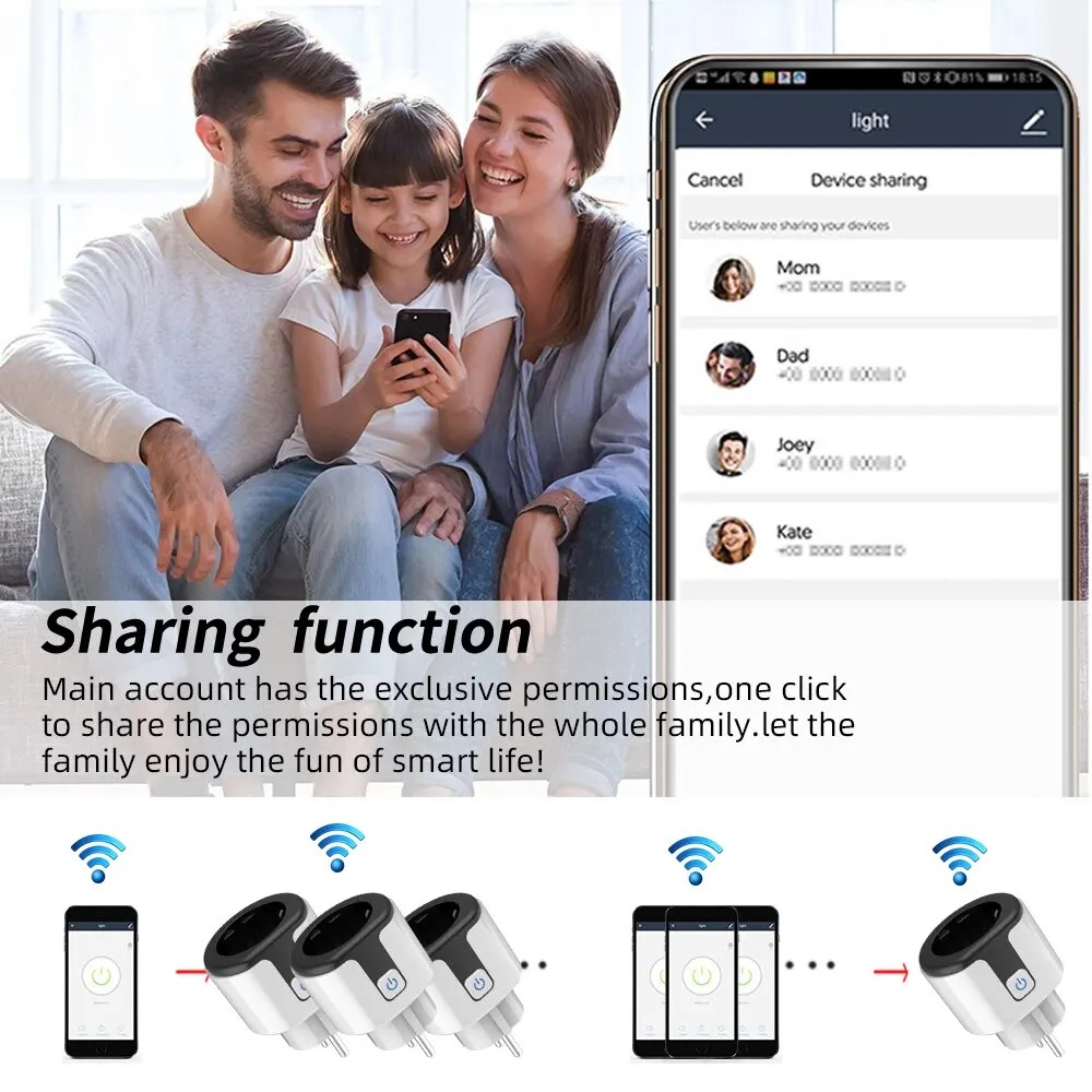 WiFi EU Smart Socket Plug Work - огляд і ціна Smart Wall Socket
