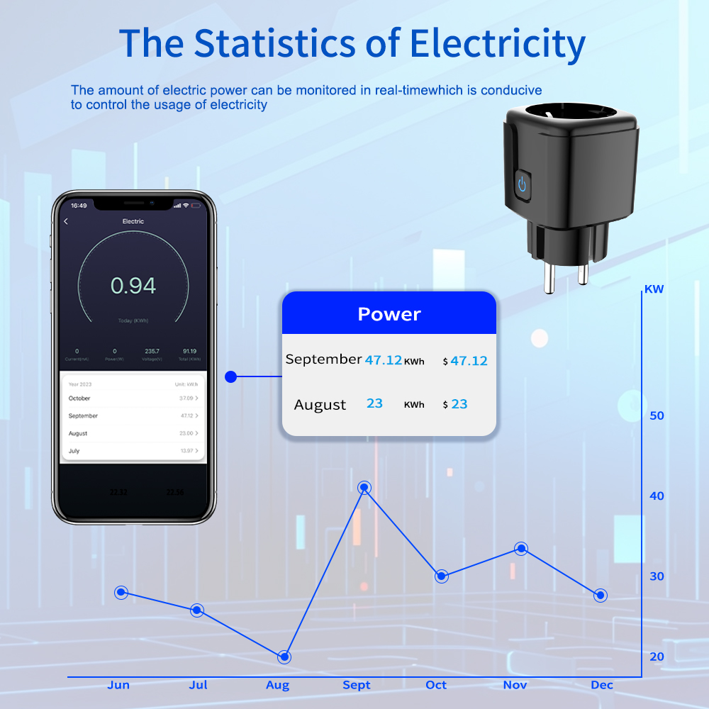 Tuya Smart Socket WiFi Remote  - огляд і ціна Smart Wall Socket