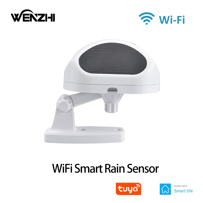 WiFi Rain Sensor Rainfall Dura - огляд і ціна Smart Home Nas