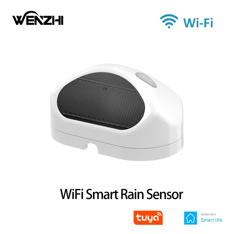 WiFi Rain Sensor Rainfall Dura - огляд і ціна Smart Home Nas