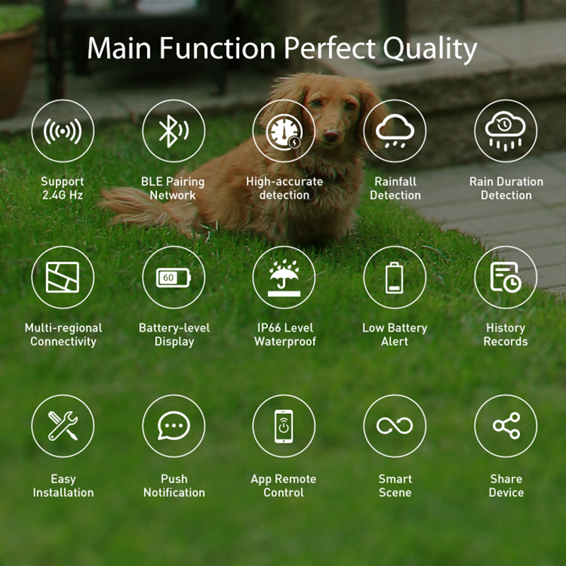 WiFi Rain Sensor Rainfall Dura - огляд і ціна Smart Home Nas